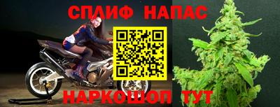 молекула духа Бийск