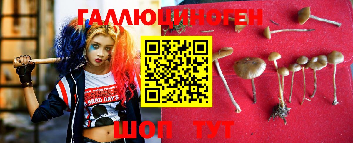 Псилоцибиновые грибы MAGIC MUSHROOMS Городец
